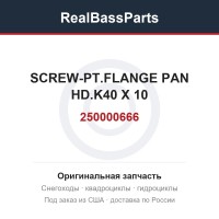 250000666 SCREW-PT.FLANGE PAN HD.K40 X 10