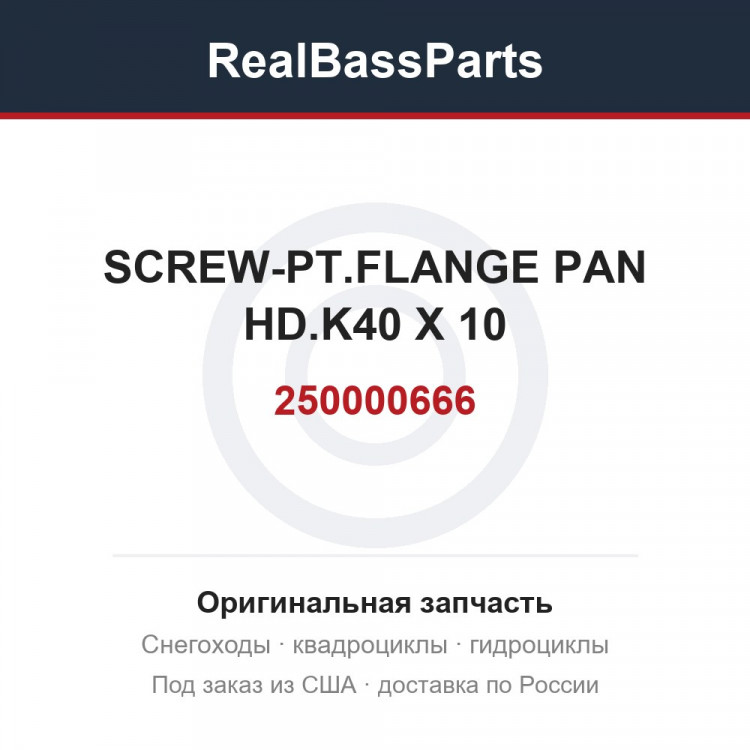 250000666 SCREW-PT.FLANGE PAN HD.K40 X 10