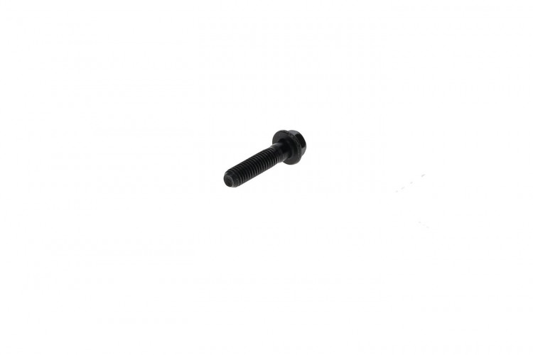250000447 SCREW-HEX.FLANGE M6 X 25 Болт M6 X 25