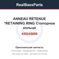 420245650 ANNEAU RETENUE *RETAINING RING  Стопорное кольцо