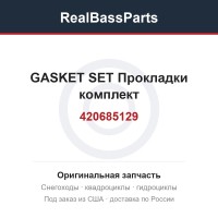 420685129 GASKET SET Прокладки комплект
