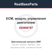 420666767 ЕСМ, модуль управления двигателем