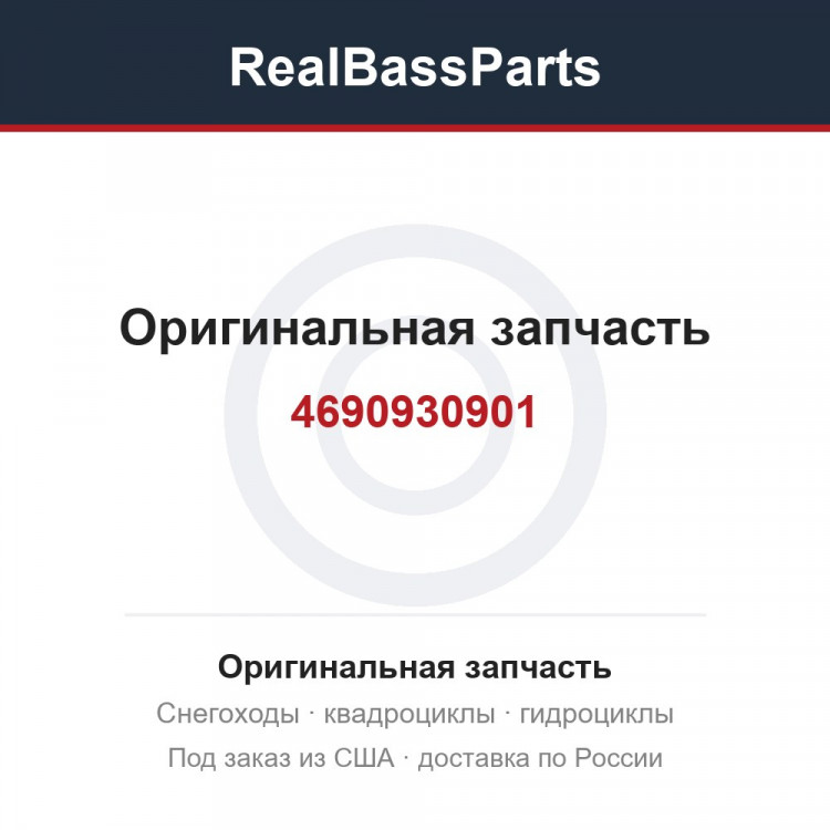 4690930901