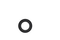 272000770 BAGUE CARBONE  *CARBON RING Кольцо уплотнительное графитовое