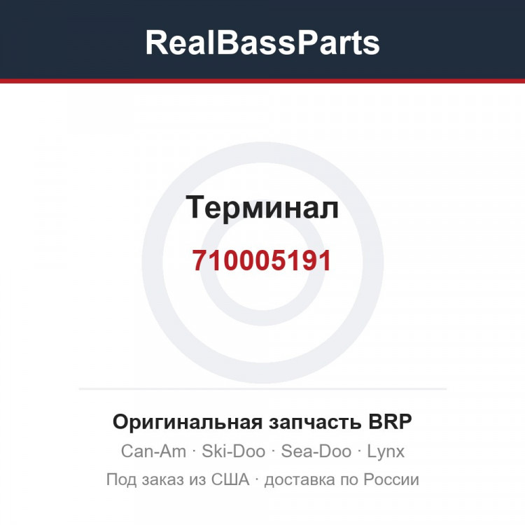 710005191 Терминал