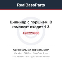 420223906 Цилиндр с поршнем. В комплект входит 1 3.