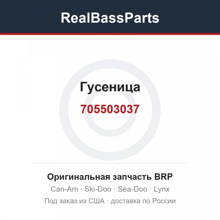 705503037 Гусеница