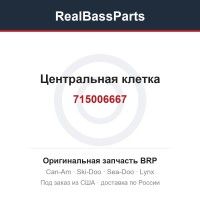 715006667 Центральная клетка