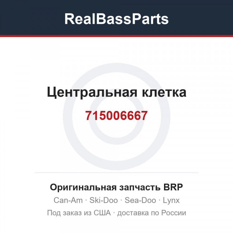 715006667 Центральная клетка