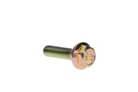 207662544 SCREW-HEX.FLANGE DIN.6921 Болт M6 X 25