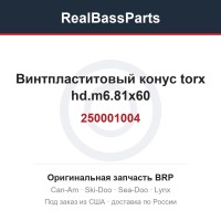 250001004 Винтпластитовый конус torx hd.m6.81x60