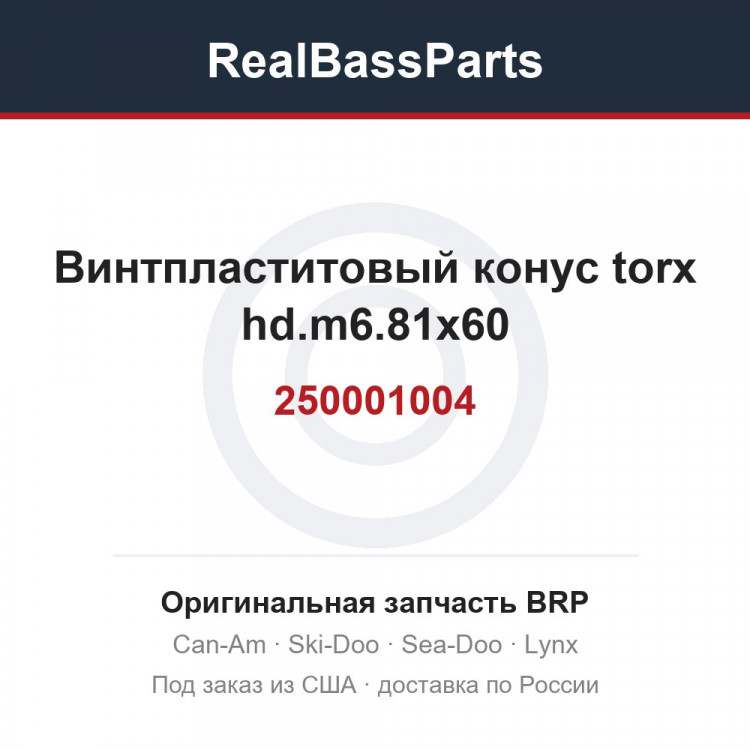 250001004 Винтпластитовый конус torx hd.m6.81x60