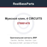 278001478 Мужской клин, 4 CIRCUITS